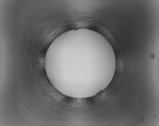 X0000111010329200907101322