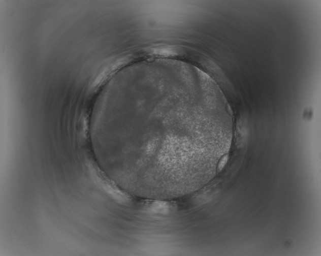 X0000111010330200907101322