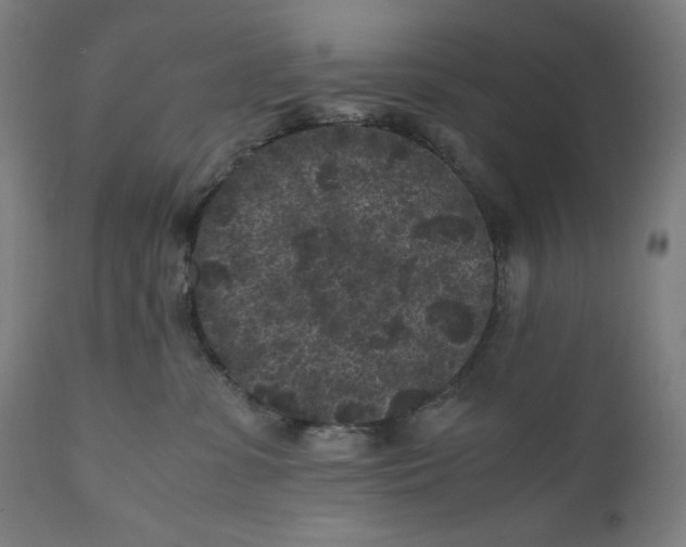 X0000111010331200907101322