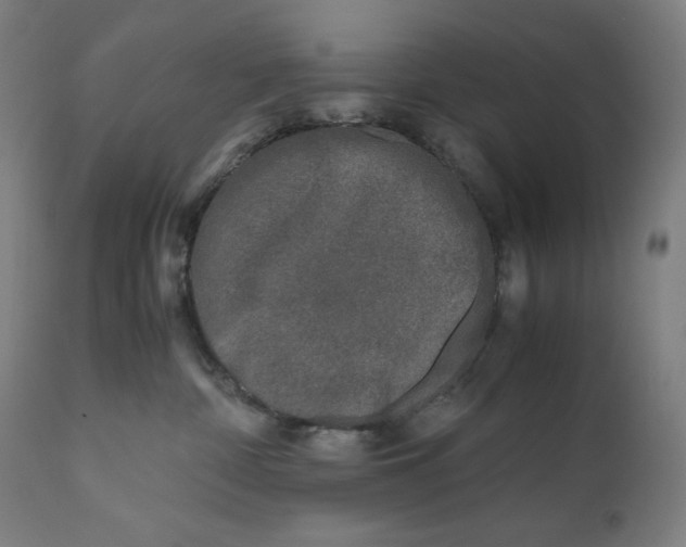 X0000111010332200907101322