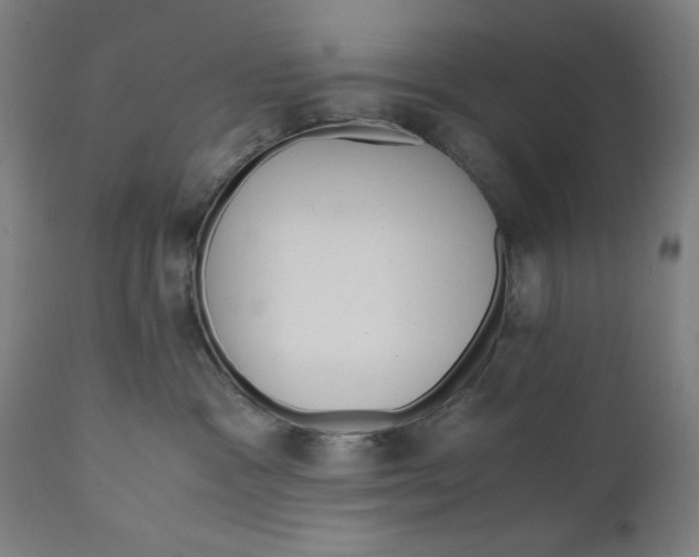 X0000111010333200907101322