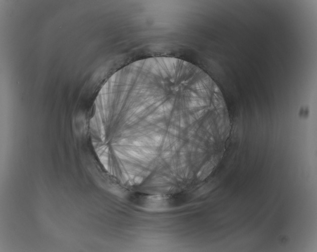 X0000111010335200907101322