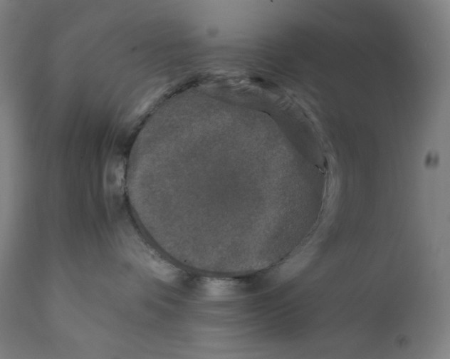 X0000111010336200907101322