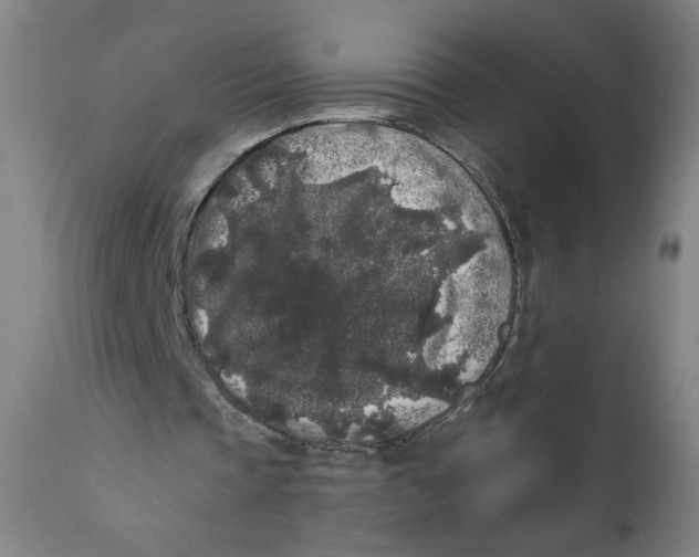 X0000111010337200907101321