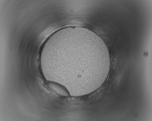 X0000111010338200907101321