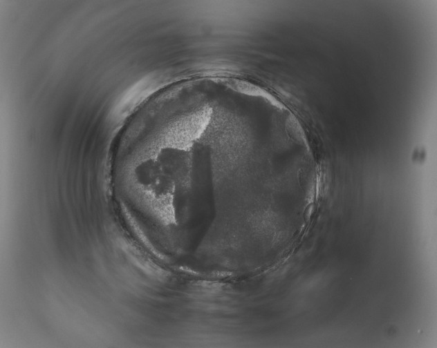 X0000111010339200907101321