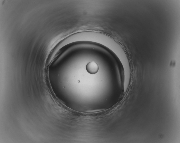 X0000111010340200907101321