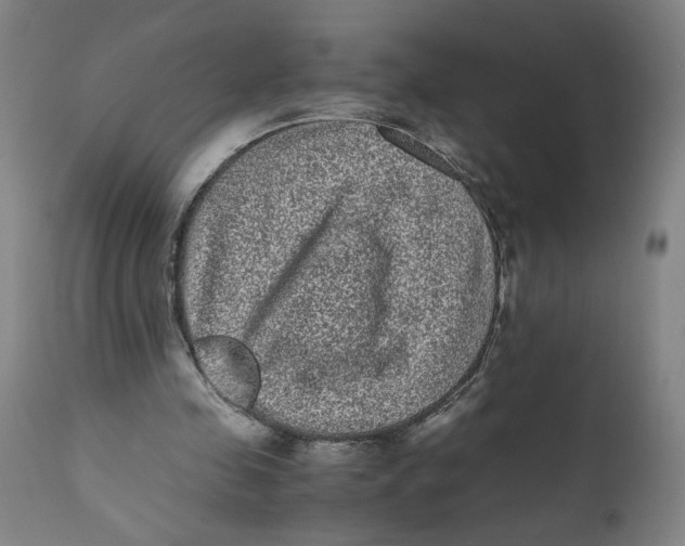 X0000111010341200907101321