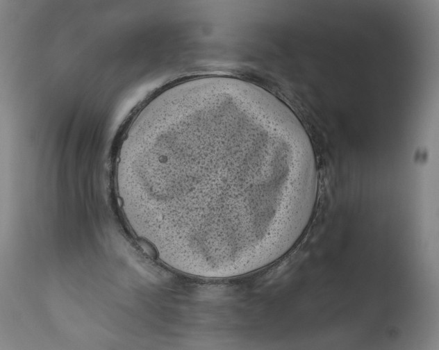 X0000111010342200907101321