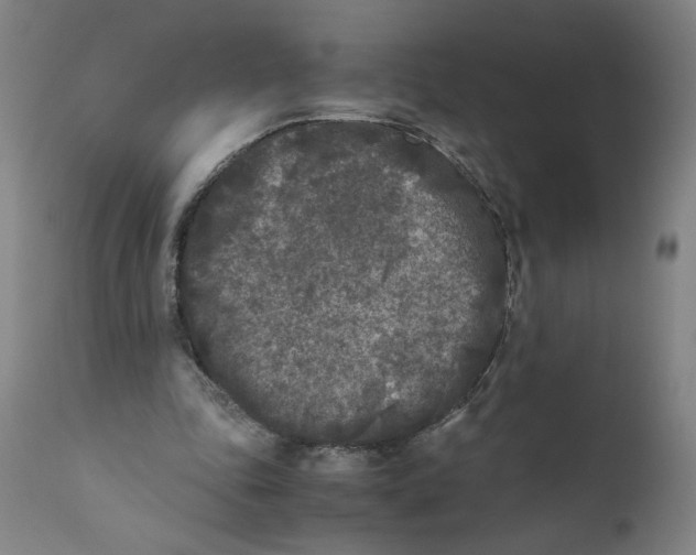 X0000111010343200907101321