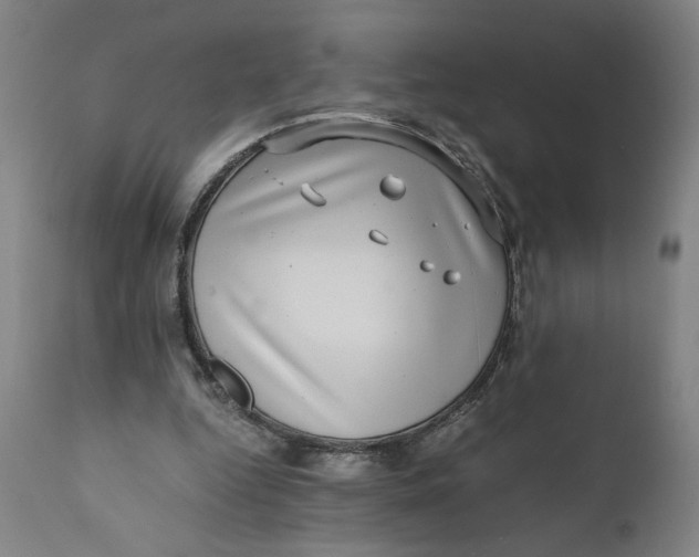 X0000111010344200907101321