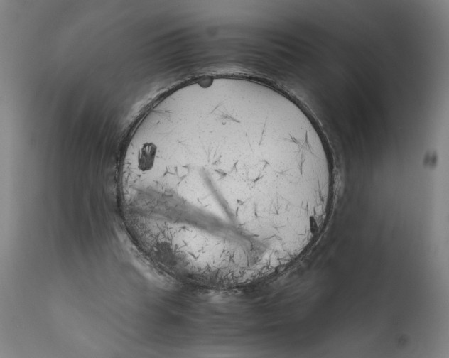 X0000111010345200907101321