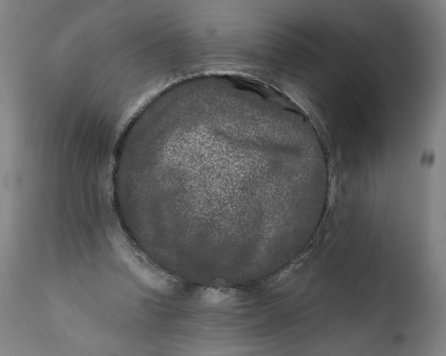X0000111010346200907101321
