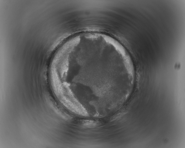 X0000111010347200907101321