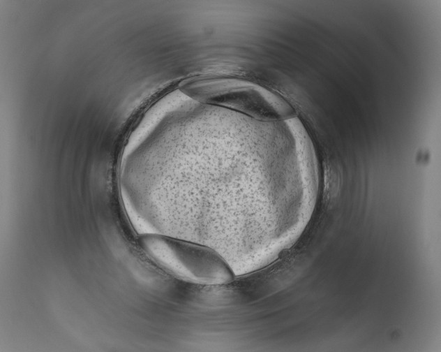 X0000111010348200907101321