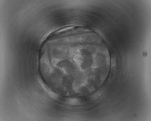 X0000111010349200907101321