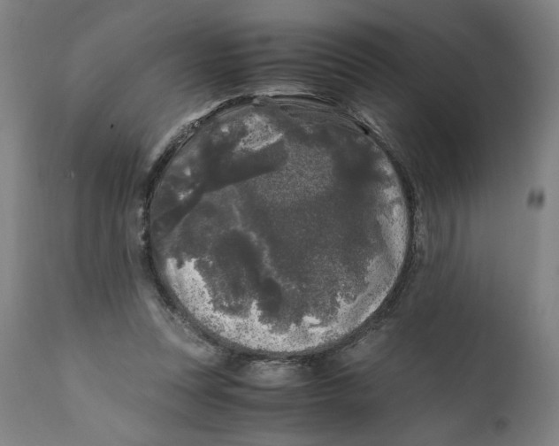 X0000111010351200907101321