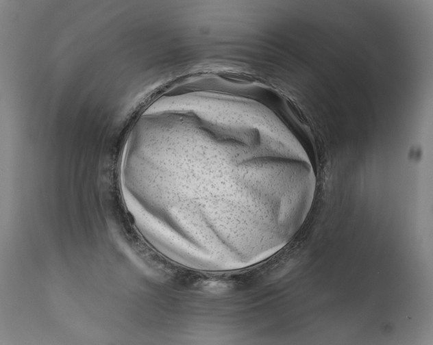 X0000111010352200907101321