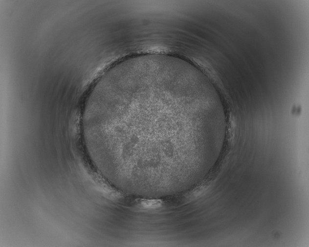 X0000111010355200907101321