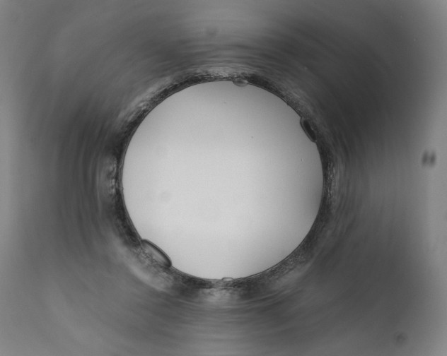 X0000111010356200907101321