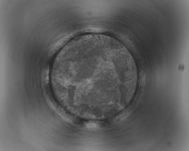 X0000111010358200907101321