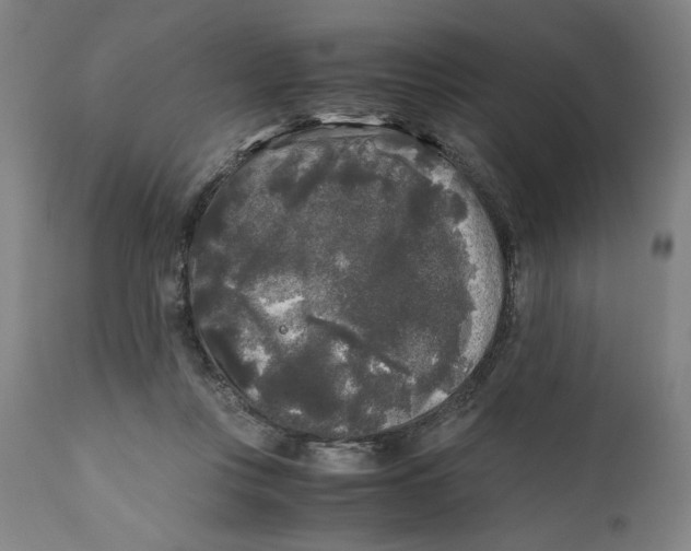 X0000111010359200907101321