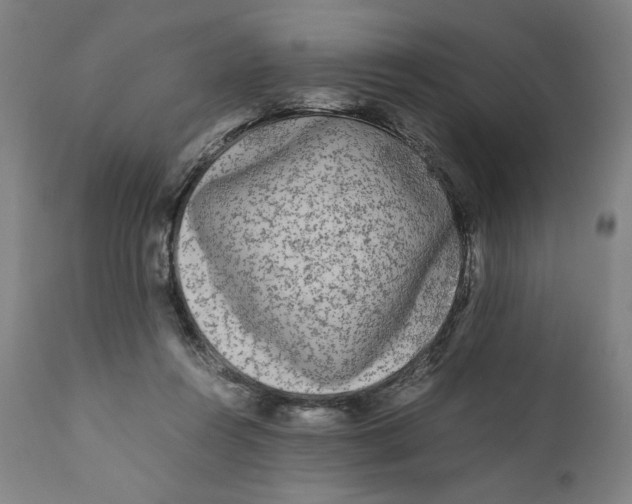 X0000111010360200907101321