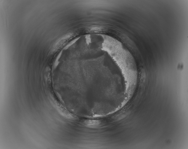 X0000111010361200907101321