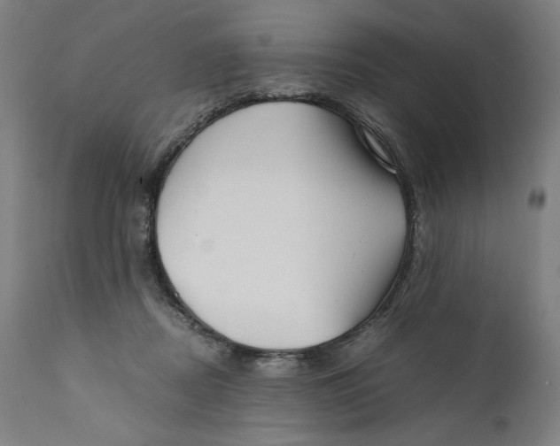 X0000111010362200907101321