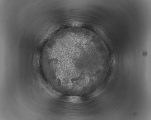 X0000111010363200907101321