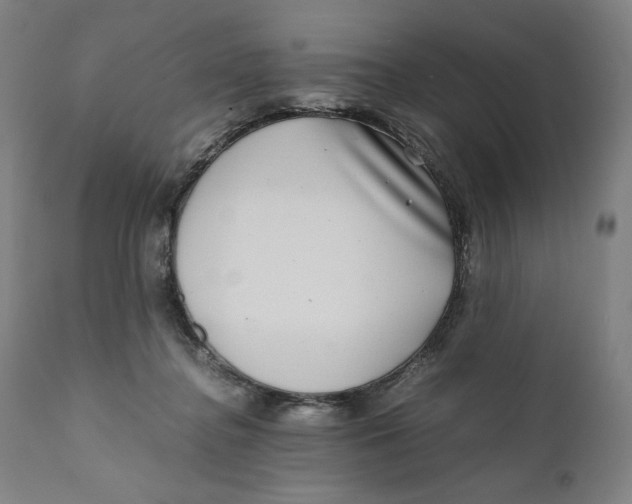 X0000111010364200907101322