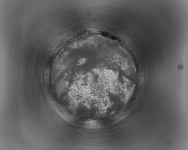 X0000111010365200907101322