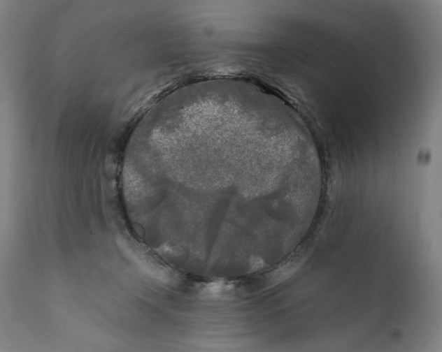X0000111010366200907101322