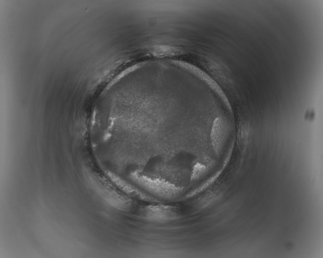 X0000111010367200907101322