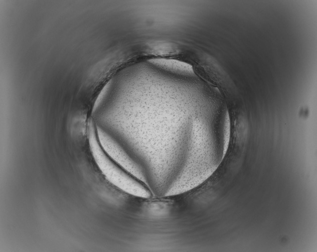 X0000111010368200907101322