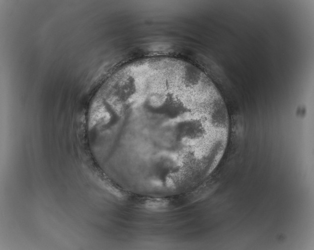 X0000111010369200907101322