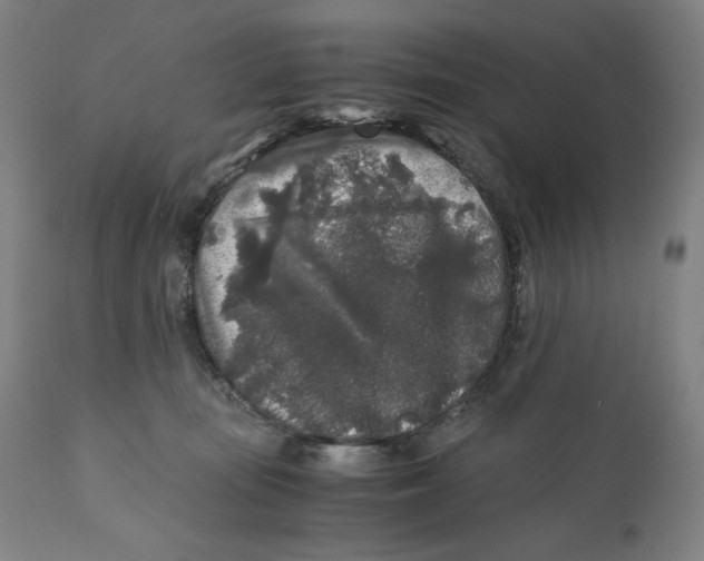 X0000111010371200907101322