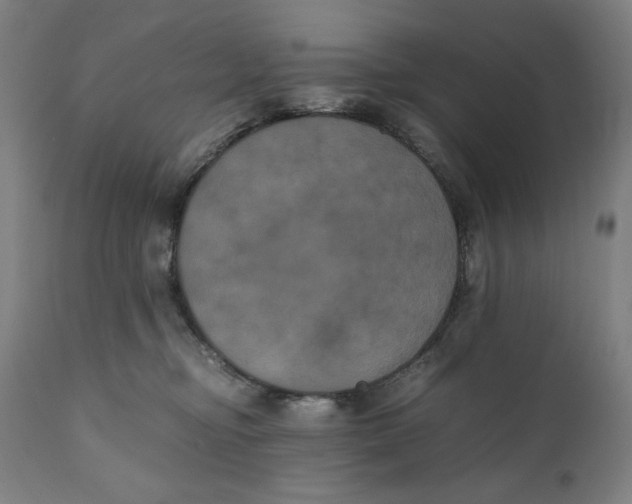 X0000111010374200907101322