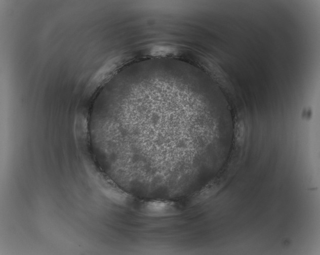 X0000111010375200907101322