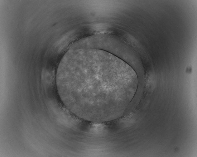 X0000111010376200907101322