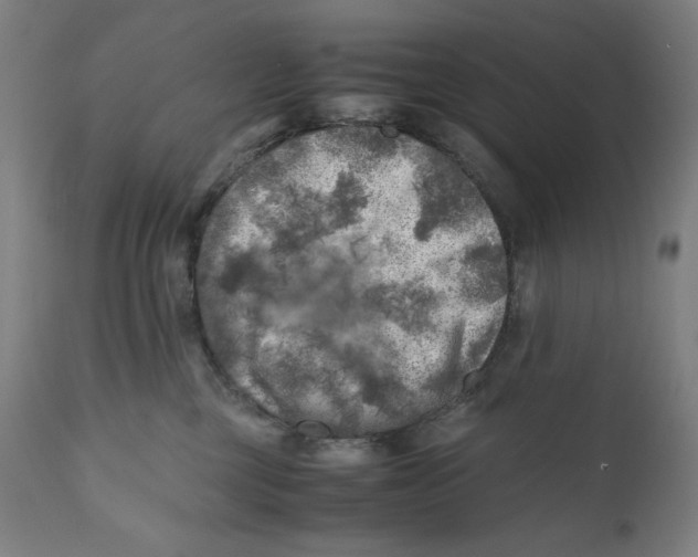 X0000111010377200907101322