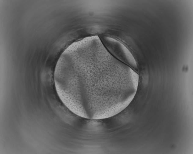 X0000111010380200907101322