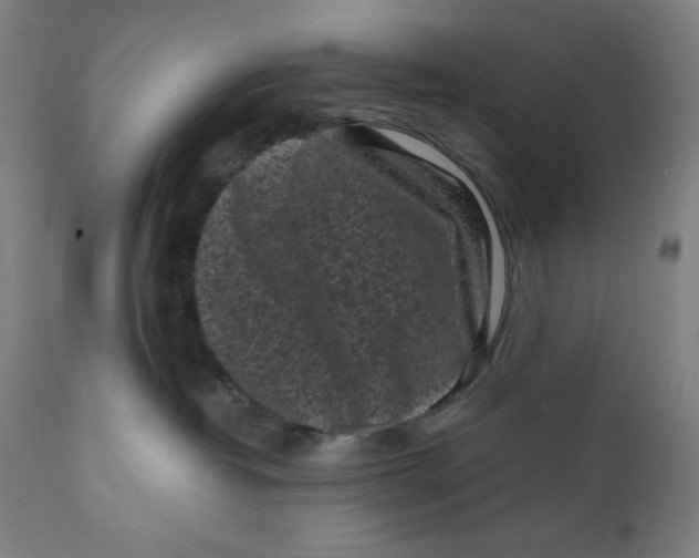 X0000111010382200907101322