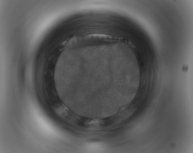 X0000111010383200907101322