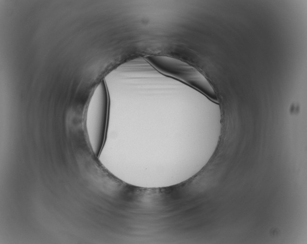 X0000111010384200907101322