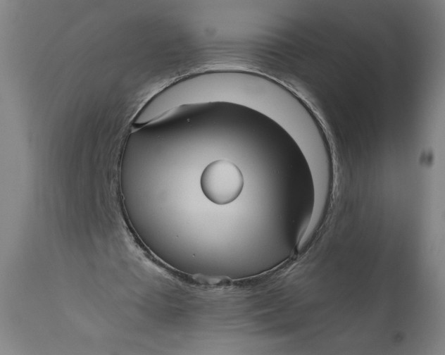 X0000111010385200907101321