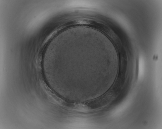 X0000111010387200907101321