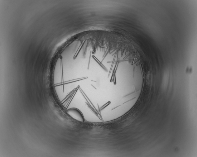 X0000111010388200907101321