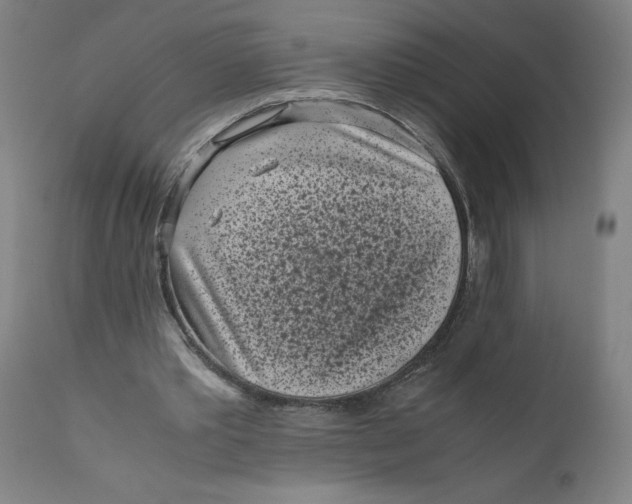 X0000111010389200907101321