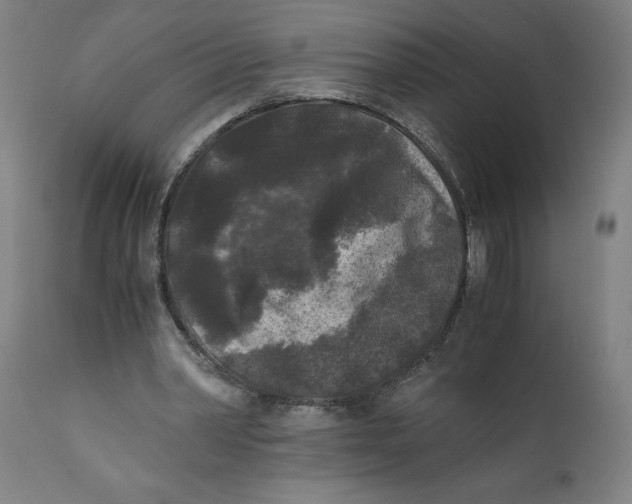 X0000111010390200907101321